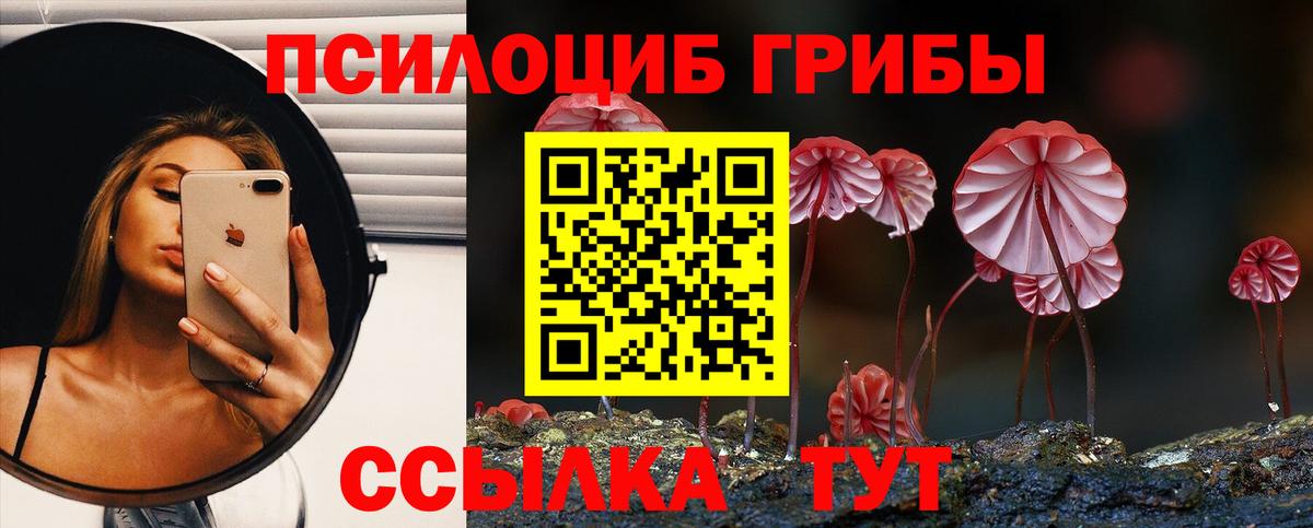 Егорьевск  Галлюциногенные грибы MAGIC MUSHROOMS  Вход с VPN 